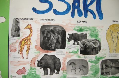 Lekcja przyrody kl. VI marzec 2011