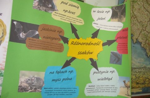 Lekcja przyrody kl. VI marzec 2011