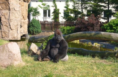 Wycieczka do Warszawy 6 - 7 czerwca 2011