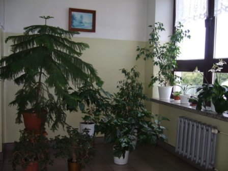 Inauguracja roku szkolnego 2011/2012