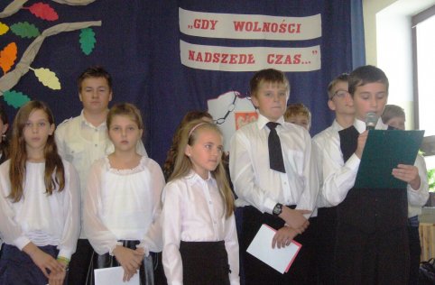 Niepodległość - 2013