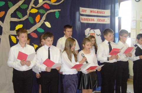 Niepodległość - 2013