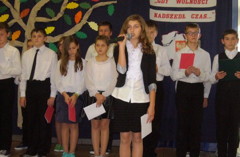 Niepodległość - 2013