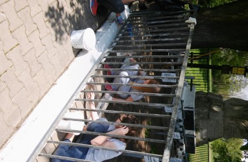 Porządkowanie mogił w Szarajówce