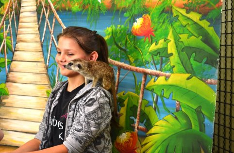 Warsztaty przyrodnicze