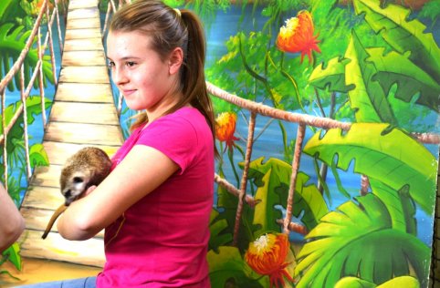 Warsztaty przyrodnicze