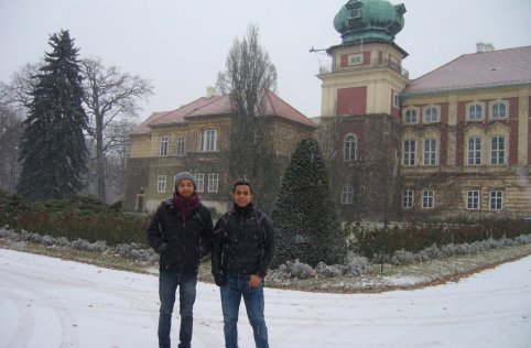 Wolontariat AIESEC - 2016