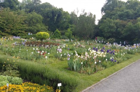 Wycieczka do Krakowa i Wieliczki 5 - 6 czerwca 2017