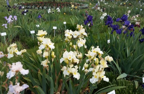 Wycieczka do Krakowa i Wieliczki 5 - 6 czerwca 2017