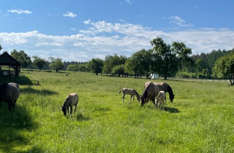Rajd rowerowy do Zwierzyńca