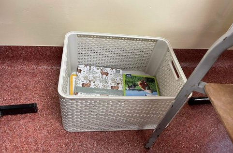 Dzień bez plecaka w naszej szkole