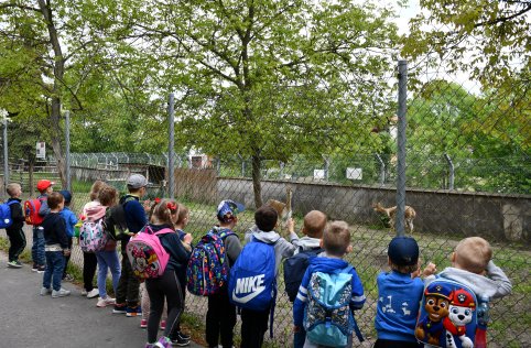 Wyjazd przedszkolaków do Zamościa