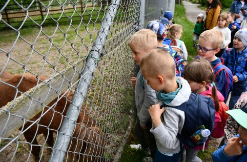 Wyjazd przedszkolaków do Zamościa