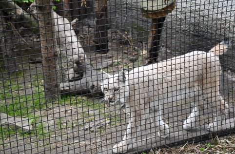 Wyjazd przedszkolaków do Zamościa