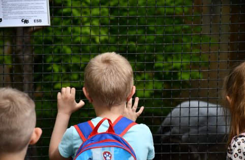 Wyjazd przedszkolaków do Zamościa