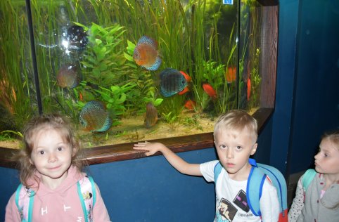 Wyjazd przedszkolaków do Zamościa