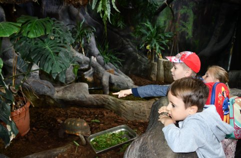 Wyjazd przedszkolaków do Zamościa