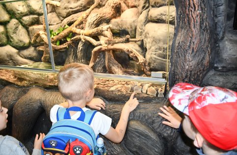 Wyjazd przedszkolaków do Zamościa