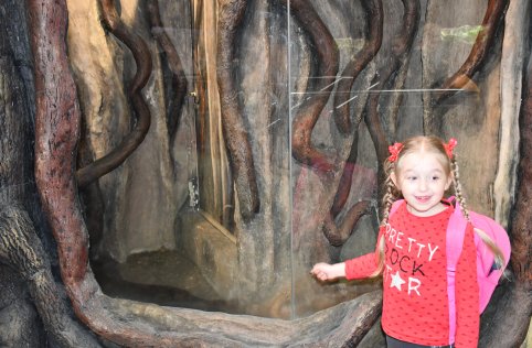 Wyjazd przedszkolaków do Zamościa