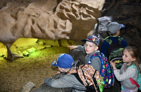 Wyjazd przedszkolaków do Zamościa