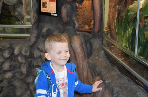 Wyjazd przedszkolaków do Zamościa