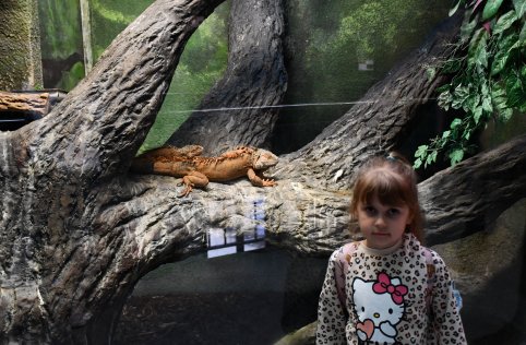 Wyjazd przedszkolaków do Zamościa