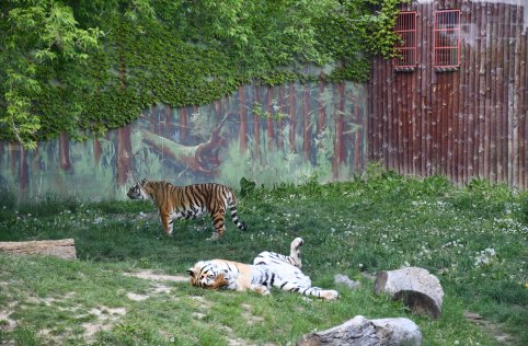 Wyjazd przedszkolaków do Zamościa