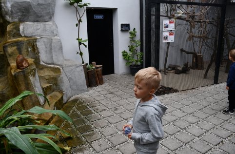 Wyjazd przedszkolaków do Zamościa