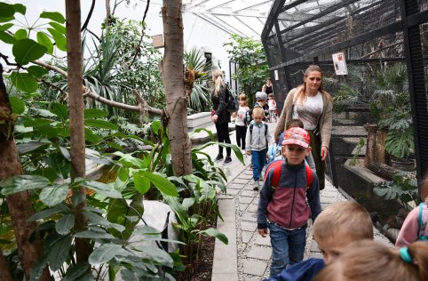 Wyjazd przedszkolaków do Zamościa