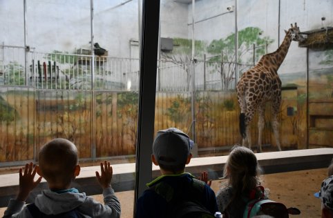 Wyjazd przedszkolaków do Zamościa