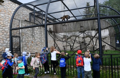 Wyjazd przedszkolaków do Zamościa