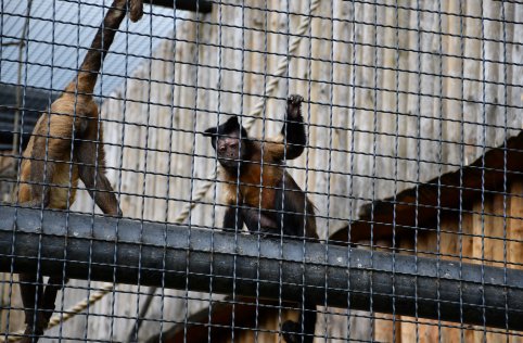 Wyjazd przedszkolaków do Zamościa