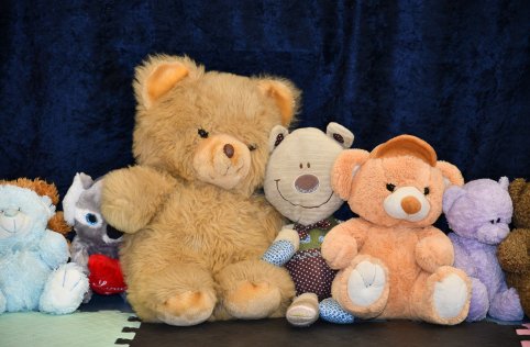 Dzień Pluszowego Misia w przedszkolu