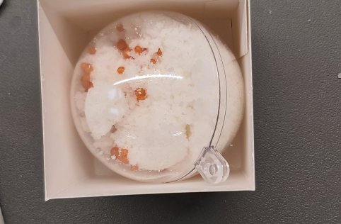 Wycieczka zerówki do BCK