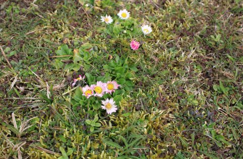 Pierwszy Dzień Wiosny w naszej szkole