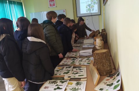 Zawodowy strzał w 10