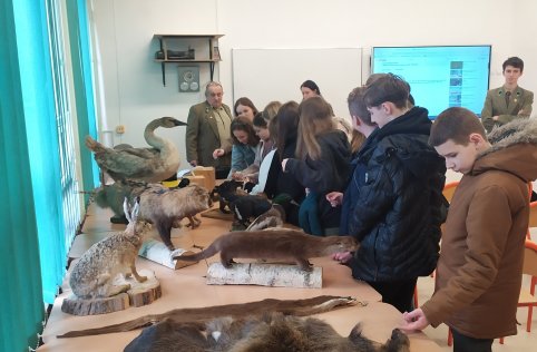 Zawodowy strzał w 10