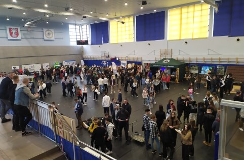 Zawodowy strzał w 10