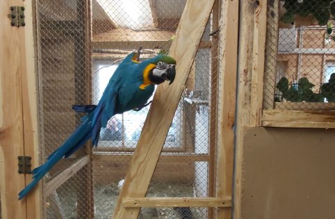 Przedszkolaki na wycieczce w Biłgoraju