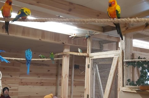 Przedszkolaki na wycieczce w Biłgoraju