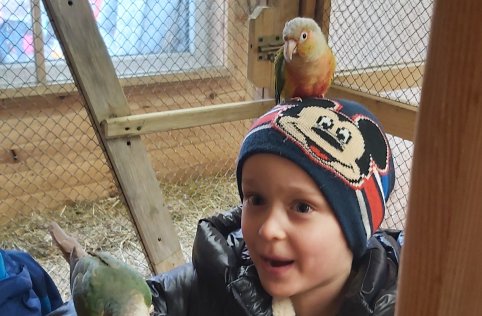 Przedszkolaki na wycieczce w Biłgoraju