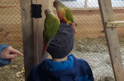 Przedszkolaki na wycieczce w Biłgoraju