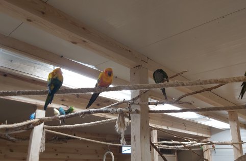 Przedszkolaki na wycieczce w Biłgoraju