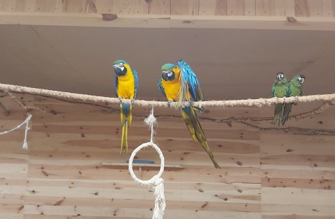 Przedszkolaki na wycieczce w Biłgoraju