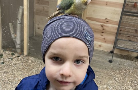 Przedszkolaki na wycieczce w Biłgoraju