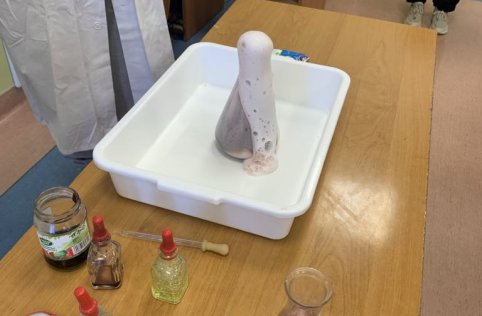 Projekt pn. "Mój wymarzony zawód"