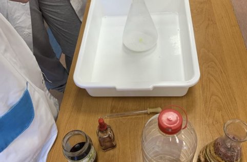 Projekt pn. "Mój wymarzony zawód"