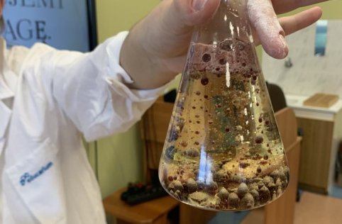 Projekt pn. "Mój wymarzony zawód"