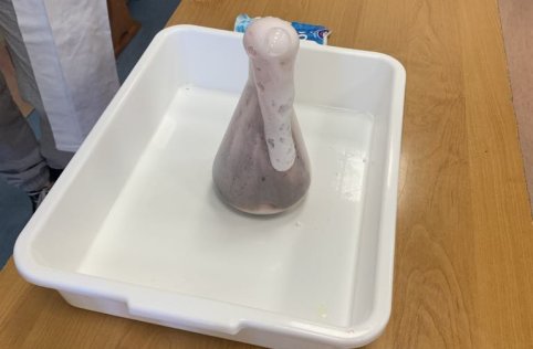 Projekt pn. "Mój wymarzony zawód"