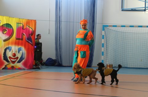 Cyrk "SZOK" w naszej szkole